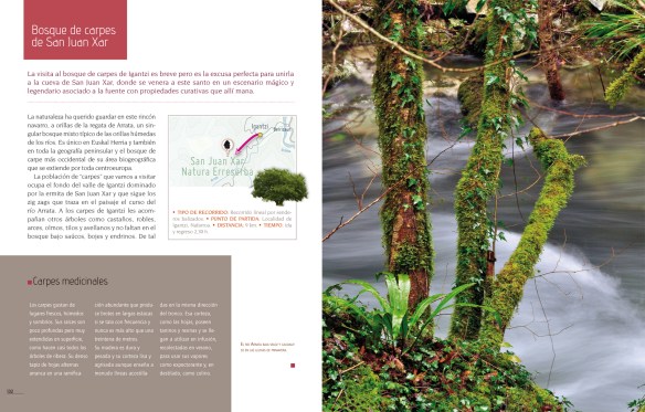 MAQUETA BOSQUES_01.indd