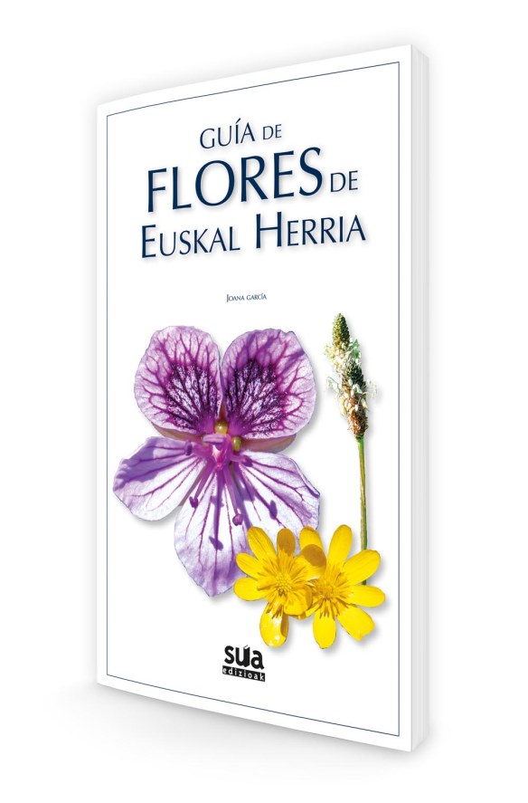flores_guiamtdotxiki