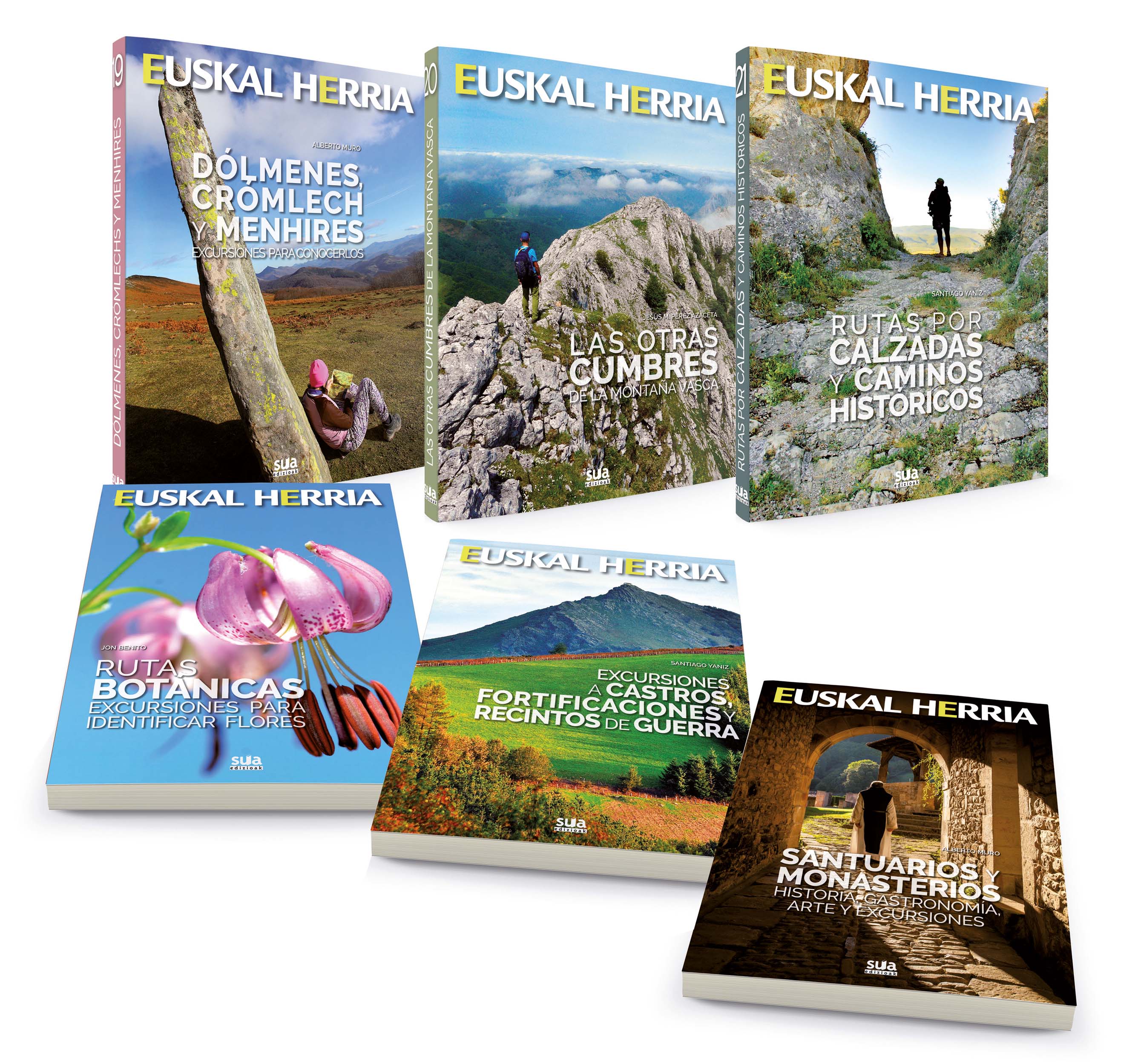 eh-liburuak-2017-guztiak