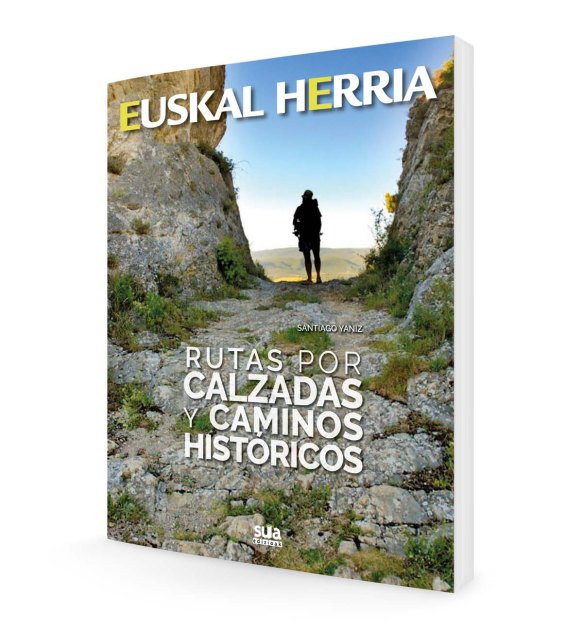 EH21_calzadasazalalbotik