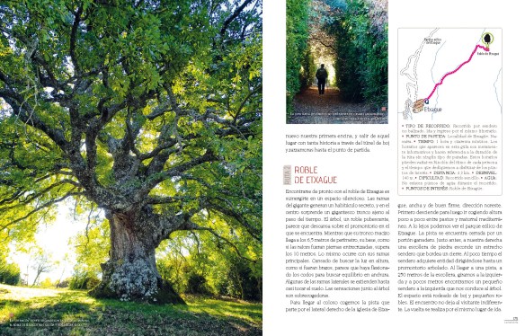 EH27_ARBOLES_174-175