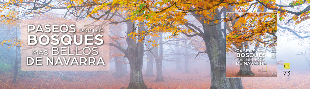 Euskal Herria liburuak