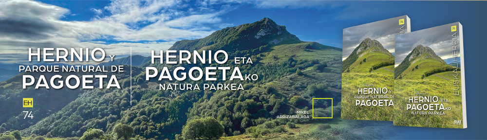 Euskal Herria liburuak